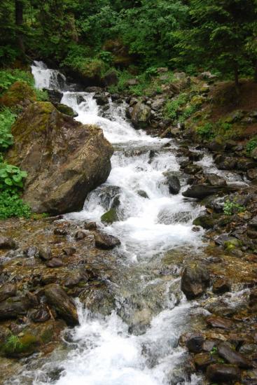 Torrent