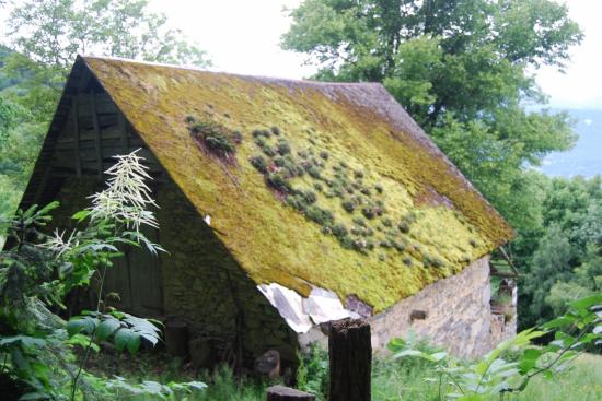 Sur le chemin d'Hurtières