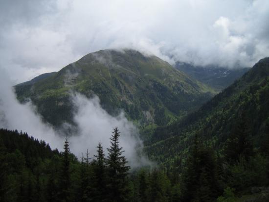 Vue sur le chemin